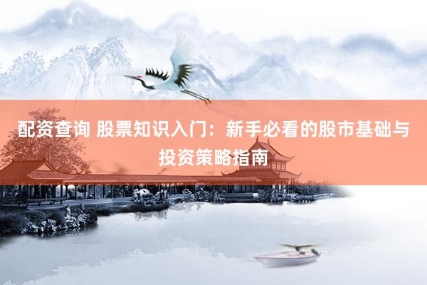 配资查询 股票知识入门：新手必看的股市基础与投资策略指南