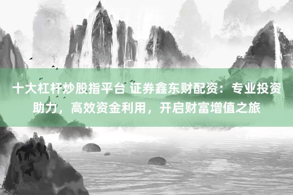 十大杠杆炒股指平台 证券鑫东财配资：专业投资助力，高效资金利用，开启财富增值之旅