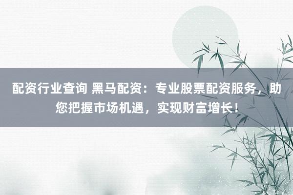 配资行业查询 黑马配资：专业股票配资服务，助您把握市场机遇，实现财富增长！
