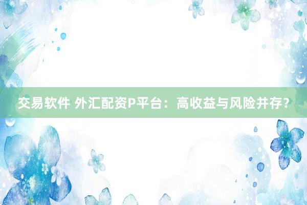 交易软件 外汇配资P平台：高收益与风险并存？