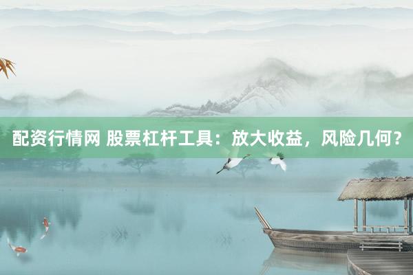 配资行情网 股票杠杆工具：放大收益，风险几何？