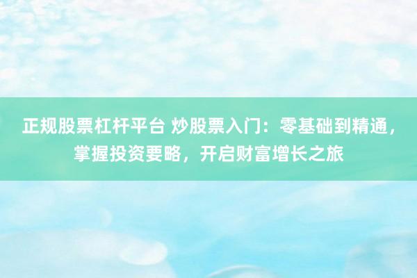 正规股票杠杆平台 炒股票入门：零基础到精通，掌握投资要略，开启财富增长之旅