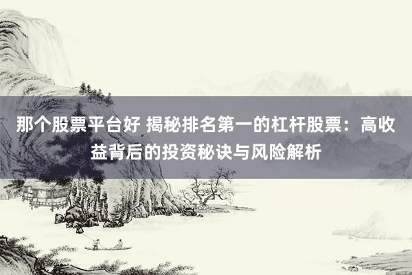 那个股票平台好 揭秘排名第一的杠杆股票:高收益背后的投资秘诀与风险解析