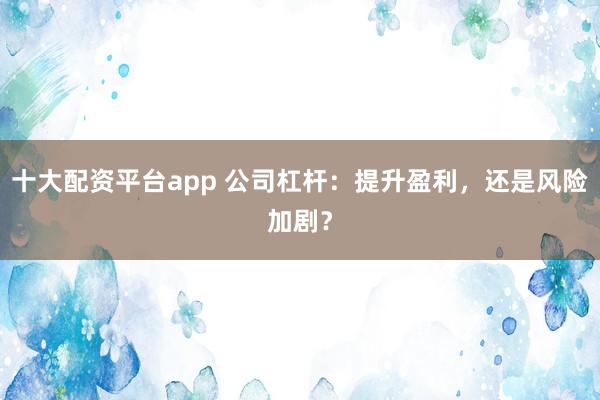 十大配资平台app 公司杠杆:提升盈利,还是风险加剧?