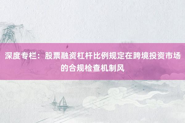 深度专栏：股票融资杠杆比例规定在跨境投资市场的合规检查机制风